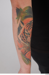 Photos of Fukuyama Bakin arm tatoo 0004.jpg